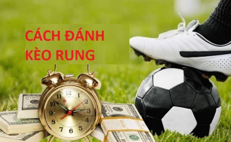 Kèo rung là gì? Bí quyết đánh kèo rung ăn chắc nhà cái cho người mới 8 Cách chơi kèo rung luôn thắng