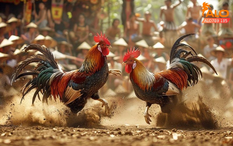 Mẹo đặt cược đá gà đòn dễ ăn nhất